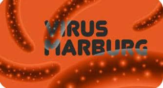 Togo/ Menace de la maladie à virus Marburg, le pays est en alerte